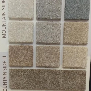 Mountain Side III Brookside Carpets 37 Oz BCF Nylon