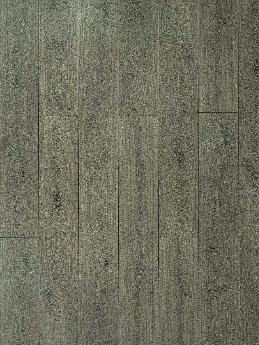 TF6309 Toucan Embossed Laminate