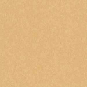 5C878 Golden VCT Tile Armstrong Flooring