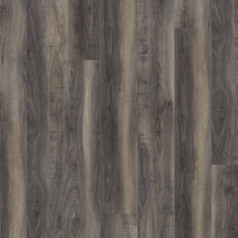 Home’s Pro New York Series - 6504 Disco Bay