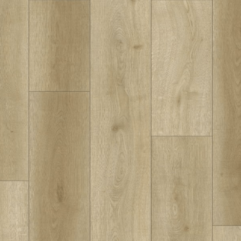 Home’s Pro Venice Series - 664 Gabon 6.5mm