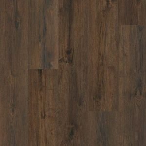Fuzion Flooring Dynamix Endure Collection - Abilene
