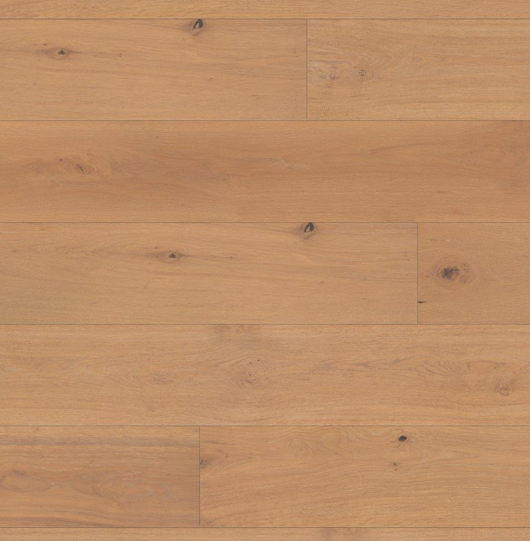 Sauvignon 4119 - Regale - collection-petun-flooring-store-kitchener-waterloo-region