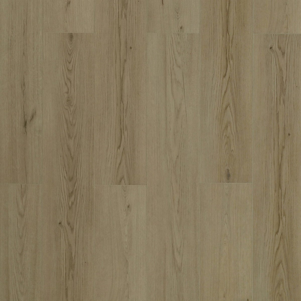 TFSPC608-F-istanbul-toucan-vinyl-flooring-spc6-series-8mm-petun-flooring-store-in-kitchener-waterloo-region