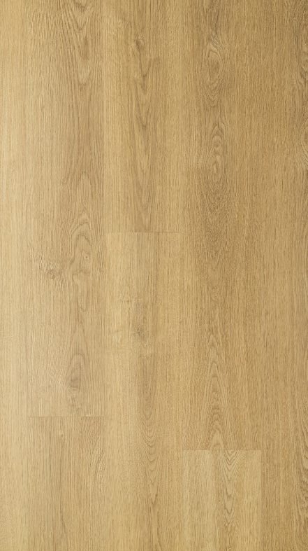 michigan-grandeur-flooring-continental-collection-petun-flooring-store-in-kitchener-waterloo-region