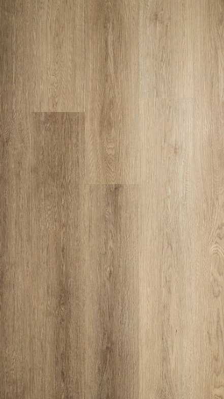 missouri-grandeur-flooring-continental-collection-petun-flooring-store-in-kitchener-waterloo-region