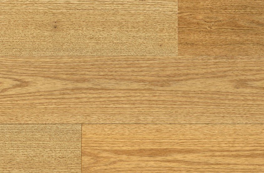 Gentle Graze Plank - Velvet Grove- collection-petun-flooring-store-kitchener-waterloo-region
