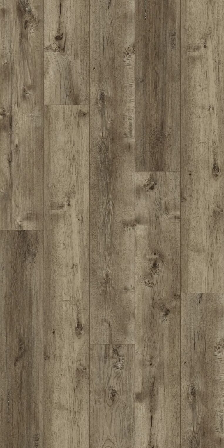 misty-moor-fuzion-flooring-dynamix-xl-3dge-collection-petun-flooring-store-in-kitchener-waterloo-region