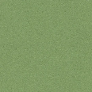 Forbo Marmoleum Bulletin Board - 2213 Baby Lettuce