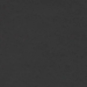 Forbo Marmoleum Furniture Linoleum - 4023 Nero