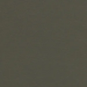 Forbo Marmoleum Solid All Colors - 3376 Peat