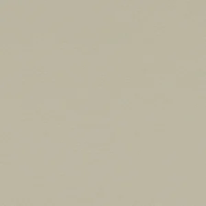 Forbo Marmoleum Solid All Colors - 3378 Stucco