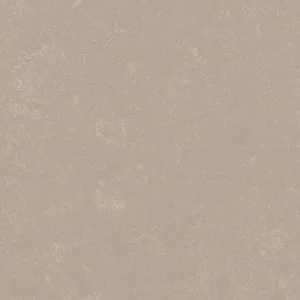 Forbo Marmoleum Solid All Colors - 3708 Fossil