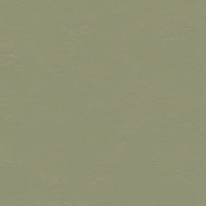 Forbo Marmoleum Solid Walton - 3355-335535 Rosemary Green