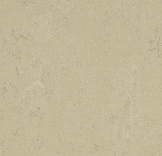 Forbo Marmoleum Solid all colors - 3761 Titan