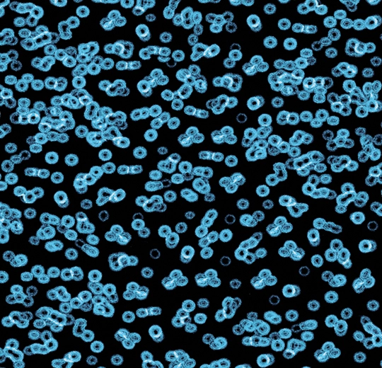 Forbo Flocked Flotex Created By Sottsass - 990105 Bacteria