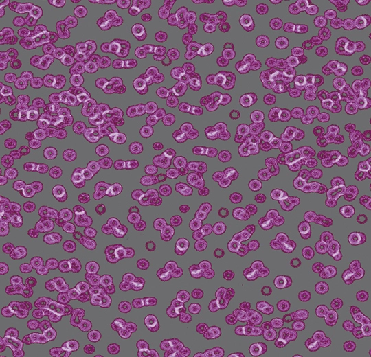 Forbo Flocked Flotex Created By Sottsass - 990301 Bacteria