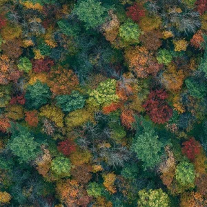 Forbo Flotex Flooring Elevate - 000691 Forest Canopya