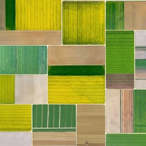 Forbo Flotex Flooring Elevate - 000704 Corn Fields