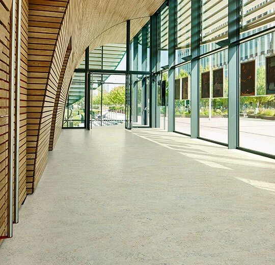 Flooring Store in Kitchener Waterloo Region | Petun Flooring | Forbo Cinch Loc Seal – 333428-933428 SeashellWe supply your flooring needs and install them for youForbo Cinch Loc Seal - 333428-933428 SeashellForbo Cinch Loc Seal – 333428-933428 Seashell Forbo Cinch Loc Seal - 333428-933428 Seashell