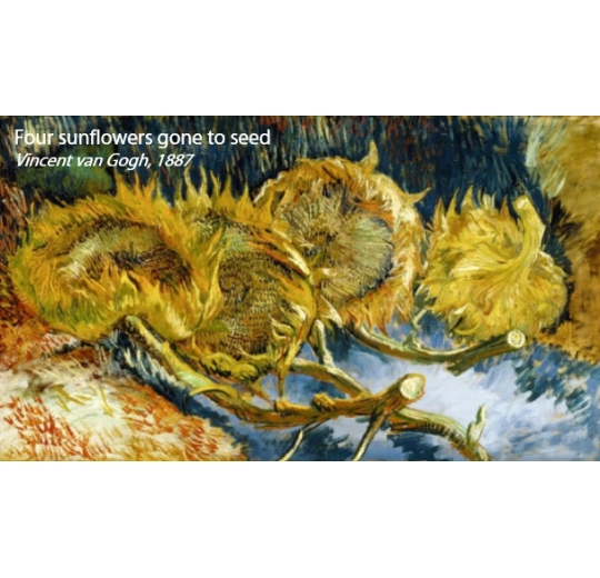 Flooring Store in Kitchener Waterloo Region | Petun Flooring | Forbo Flooring FR Rail – 940FR Van Gogh SunflowersWe supply your flooring needs and install them for youForbo Flooring FR Rail - 940FR Van Gogh SunflowersForbo Flooring FR Rail – 940FR Van Gogh Sunflowers Forbo Flooring FR Rail - 940FR Van Gogh Sunflowers