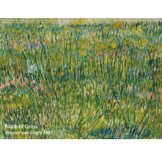 Flooring Store in Kitchener Waterloo Region | Petun Flooring | Forbo Flooring FR Rail – 941FR Van Gogh Patch Of GrassWe supply your flooring needs and install them for youForbo Flooring FR Rail - 941FR Van Gogh Patch Of GrassForbo Flooring FR Rail – 941FR Van Gogh Patch Of Grass Forbo Flooring FR Rail - 941FR Van Gogh Patch Of Grass