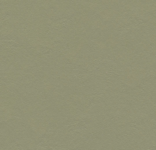 Forbo Marmoleum Sheet Solid - 3355 Rosemary Green