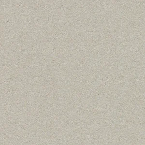 Forbo Solutions Bulletin Board - 2206 Oyster Shell