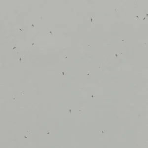 Forbo Vinyl Sphera Energetic - 50202 Concrete