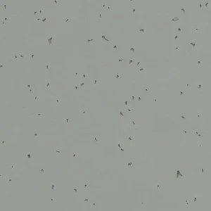 Forbo Vinyl Sphera Energetic - 50216 Pigeon