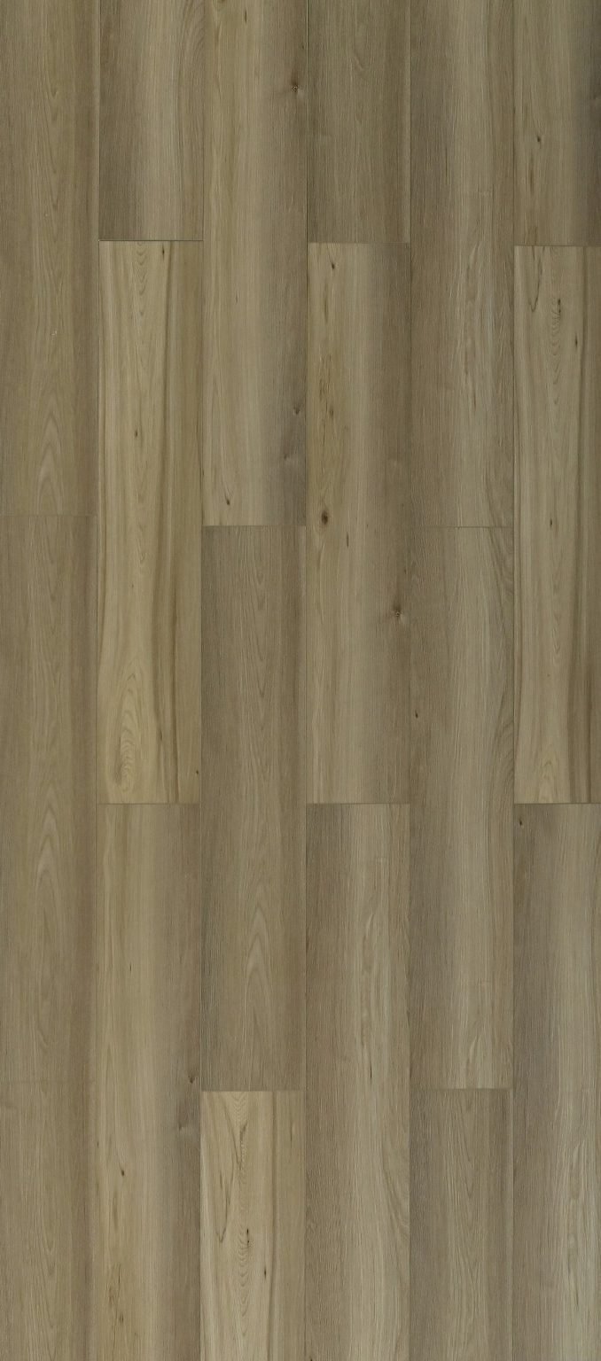 Toucan TFL62 Series - TFL624 Autumn Glow