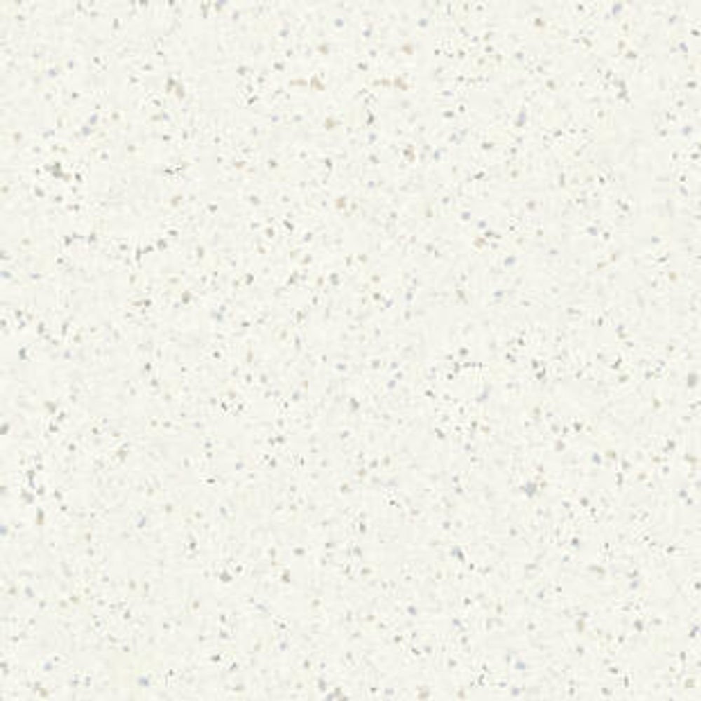 Tarkett Homogeneous Vinyl Tile iQ Eminent #904 White Vinyl Tile