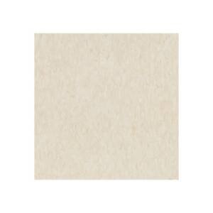 51811 Antique White VCT Tile Armstrong Flooring