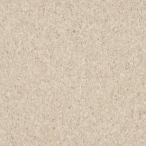 5C858 Sandrift White VCT Tile Armstrong Flooring
