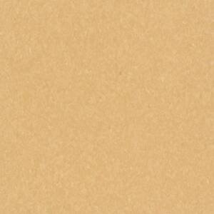 5C878 Golden VCT Tile Armstrong Flooring