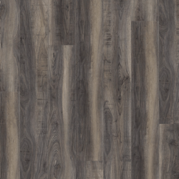Home’s Pro New York Series - 6504 Disco Bay