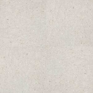 CR013-victorious-beige-ahf-contract-vct-vinyl-composition-tile-petun-flooring-store-in-kitchener-waterloo-region