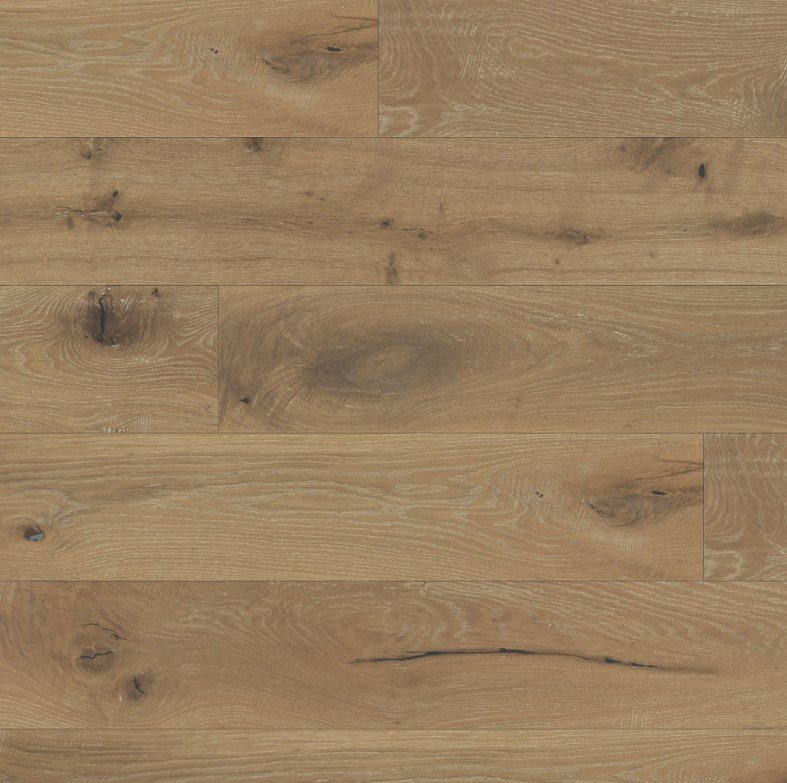 Cortese 4116 - Regale - collection-petun-flooring-store-kitchener-waterloo-region