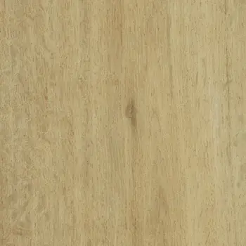 Forbo Allura Decibel Wood - 5113AD8 Summer Harvest Oak