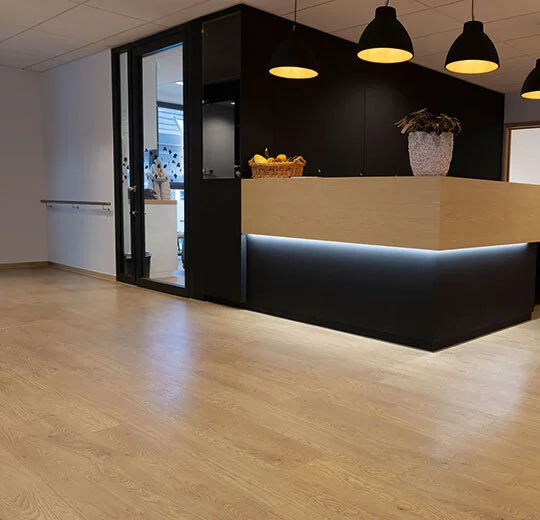 Forbo Allura Dryback 0.4 Wood - 60065DR4 Honey Elegant Oak