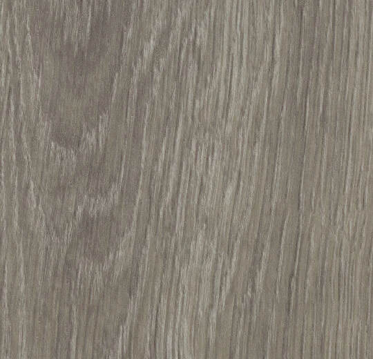 Forbo Allura Dryback Wood - 60280DR7 Grey Giant Oak