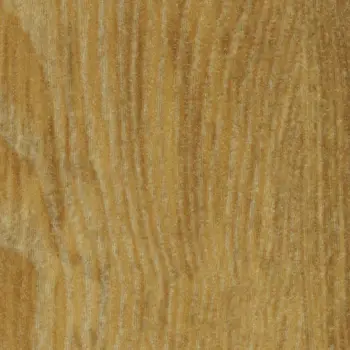 Forbo Allura Flex 1.0 Material - 63662FL1 Ochre Ash