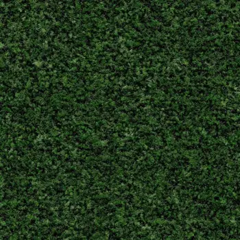 Forbo Canada Matting Coral Brush - 5708 Avocado Green