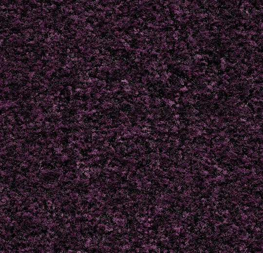Forbo Canada Matting Coral Brush - 5739 Byzantine Purple