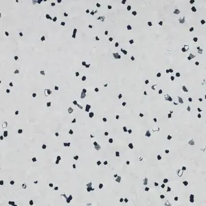 Forbo Cleanroom Flooring Sphera - EC 450017 Ivory