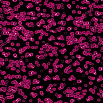 Forbo Flocked Flotex Created By Sottsass - 990101 Bacteria