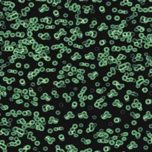 Forbo Flocked Flotex Created By Sottsass - 990102 Bacteria