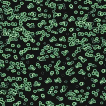 Forbo Flocked Flotex Created By Sottsass - 990102 Bacteria