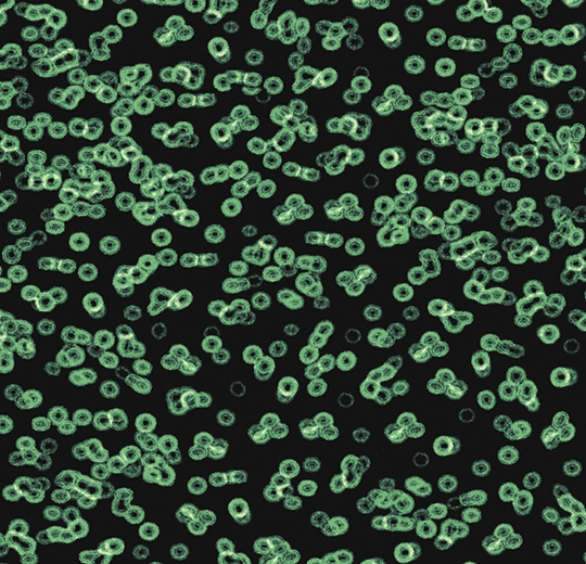 Forbo Flocked Flotex Created By Sottsass - 990102 Bacteria