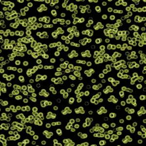 Forbo Flocked Flotex Created By Sottsass - 990103 Bacteria
